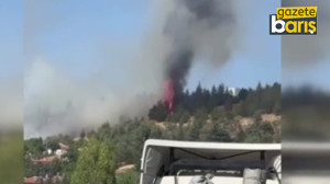 Ankara’da orman yangını çıktı