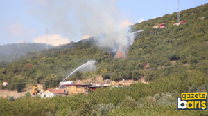 Derince’deki orman yangını söndürüldü