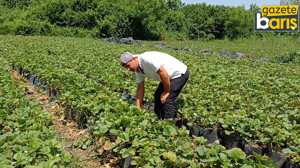 Yanlış çalışma hastanelik ediyor