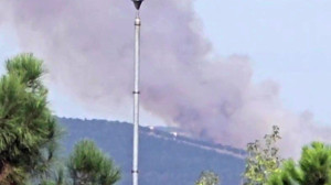Kocaeli'de ormanlık alanda yangın