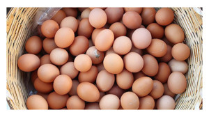 Yumurta fiyatı aldı başını gidiyor