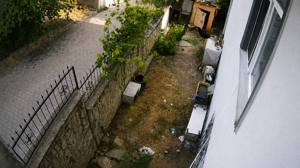Kocaeli'de yumurta hırsızı karga kameraya böyle yakalandı
