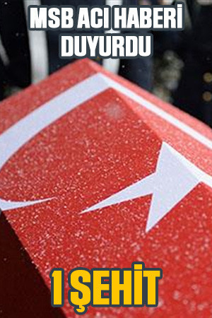 MSB acı haberi duyurdu: 1 şehit