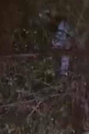 Kocaeli'de ağaçta kalan çocuğun yardımına itfaiye yetişti