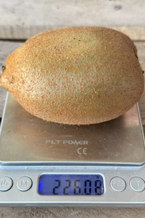 Daha önce böyle bir kivi görmediniz