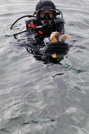 Körfez için seferberlik Gebze’ye ulaştı