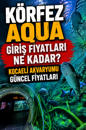 Körfez Aqua giriş fiyatları ne kadar? Kocaeli Akvaryumu güncel fiyatları