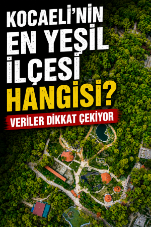 Kocaeli'nin en yeşil ilçesi hangisi? Veriler dikkat çekiyor