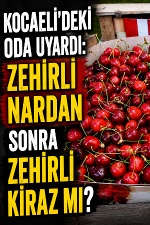 Kocaeli'deki oda uyardı: Zehirli nardan sonra zehirli kiraz mı?