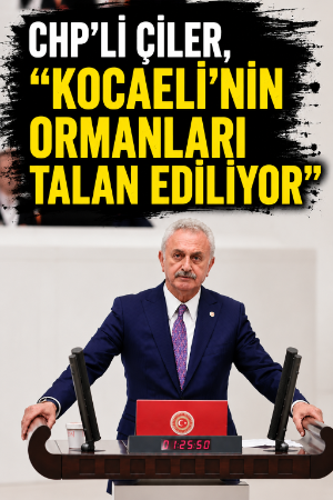CHP’li Çiler, “Kocaeli’nin ormanları talan ediliyor”