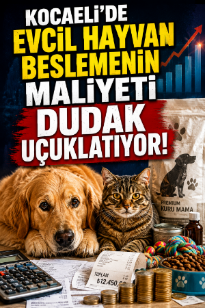 Kocaeli'de evcil hayvan beslemenin maliyeti dudak uçuklatıyor!