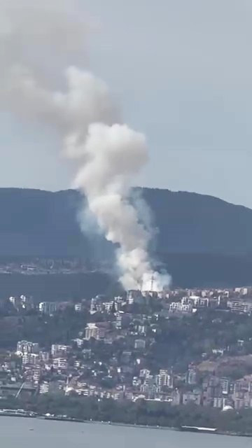 Kocaeli'de ormanlık alanda yangın
