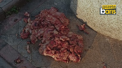 Çiğ etler ortalığa saçıldı, Gölcük’te rezalet bitmiyor!