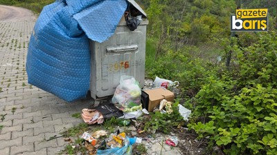 15 gün oldu! İzmit Belediyesi bu sokağı görmezden geliyor