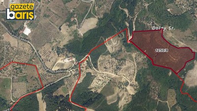 Kocaeli’de bahçeler zeytinlikler peynir ekmek gibi satılıyor