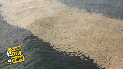 Havalar ısındı müsilaj İzmit Körfezi’ni sarmaya başladı