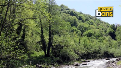 Kocaeli’de ormanlara giriş yasaklandı! İşte tam liste