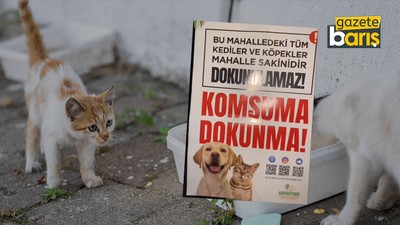 Hayvan severler Kocaeli sokaklarına bu afişi asıyor