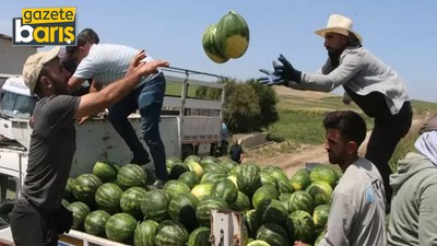 Karpuzun kilosu tarlada 7 TL Kocaeli’deki pazarlarda 70 TL