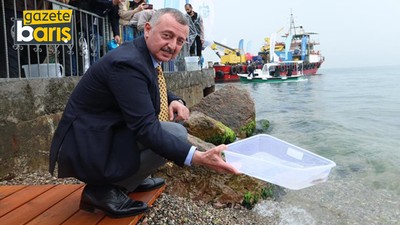 Biyoçeşitlilik artacak. İzmit Körfezi’ne binlerce balık salındı