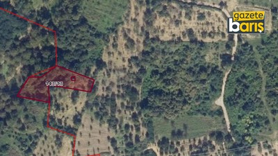Kartepe Eşme’de meyve bahçesi icradan satılacak