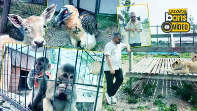 Kocaeli’nin yanı başında yeni bir hayvanat bahçesi: Dupha Zoo! Aslanlar ve yılanla fotoğraf çektirme imkanı