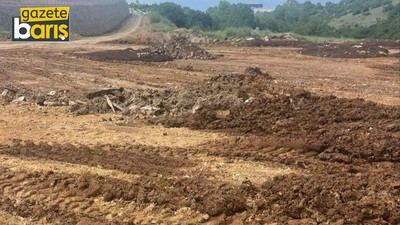 İYİ Partili Elüstü, “Hayvan atıkları mezarlığa dökülüyor”