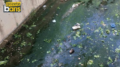 Körfez’deki o derenin kokusu mahalleyi sardı