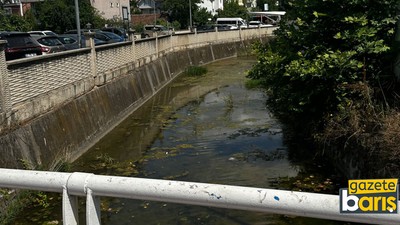 Başiskele’deki dere vatandaşı bezdirdi