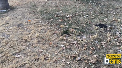 Vatandaş bakımsız görüntüden şikayetçi “Yarımca’daki tek aktivitemiz sahil”