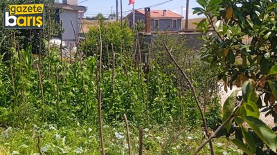 Kocaeli'deki o köy İstanbulluların kaçış durağı oldu