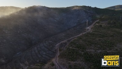 Derince ve Körfez’i korkutan yangın söndürüldü