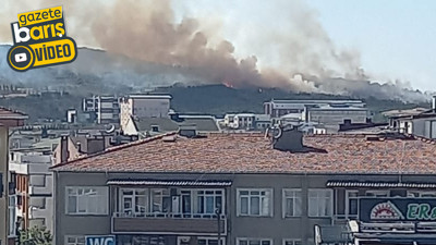 Gebze'de ormanlık alanda yangın çıktı