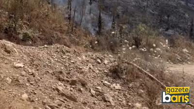 Zamanında müdahale yangını söndürdü