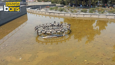 Süsü gitti pisliği kaldı. Gebze’de havuzların haline bakın!
