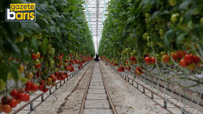 Kocaeli'ye 35 sera için ihale tamam