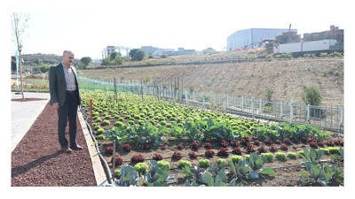 CHP’li Aydın, “Marul bahçesi açtı”