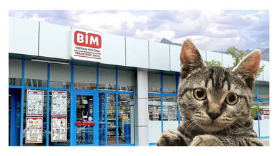 İzmit'teki BİM çalışanları kedi mi kaçırdı?
