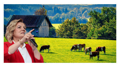 Hürriyet’in çiftliği ne durumda?