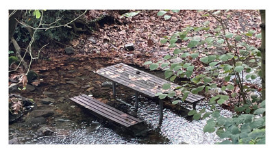 Kocaeli’de Çınarlıdere içmesuyu havzası ilan ediliyor!