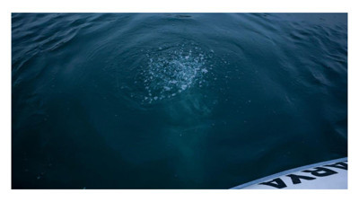 Kocaeli'nin içme suyu kaynağı Sapanca Gölü'ndeki kabarcıklar endişe yarattı