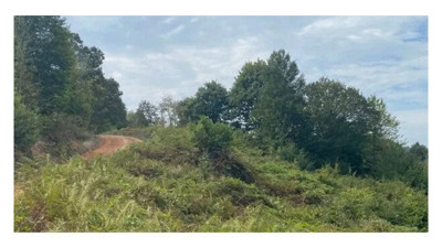 6 köyü ilgilendiriyor: Kandıra'da ormanlık alana santral için karar çıkacak!