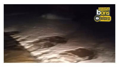 Derenin durumu korkuttu: Gebze'de çevre katliamı mı var?