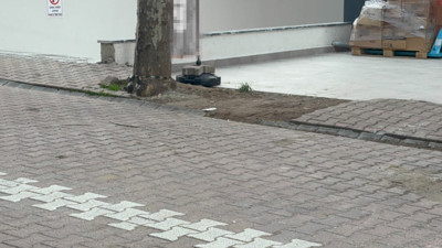 Kocaeli’de vatandaşın çöp sandığı poşetin içinden 60 bin dolar çıktı!