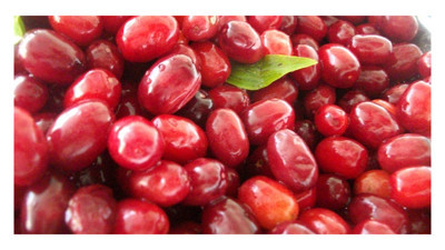 Soğuk algınlığına doğal çözüm: Kızılcık