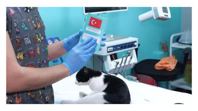 Mikroçipte son tarih yaklaşıyor: 31 Aralık’a kadar kayıt yaptırmayanlara ceza