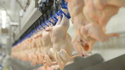 Beyaz et sektörüne operasyon: 13 şirkete denetim kayyumu atandı