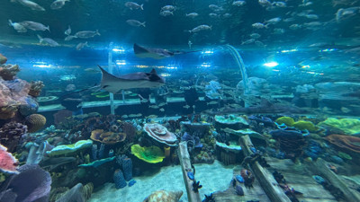 Büyükakın müjdeyi verdi: Körfez Aqua ilk 2 gün ücretsiz