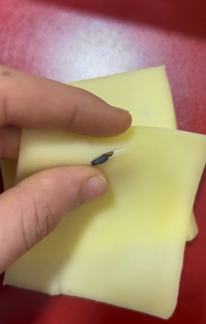 Kocaeli’de aldığı kaşarın içinden çıkan şey şok etti!