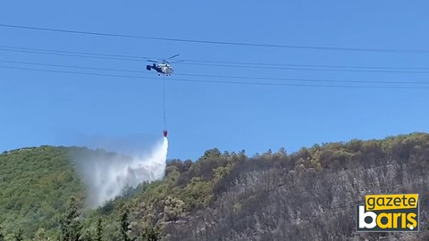 Kocaeli'de ağaçlık alanda çıkan yangın kontrol altına alındı
